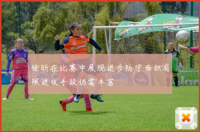 徐昕在比赛中展现进步防守面积有限进攻手段仍需丰富