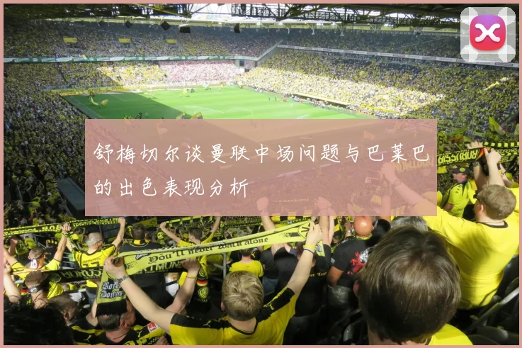 舒梅切尔谈曼联中场问题与巴莱巴的出色表现分析